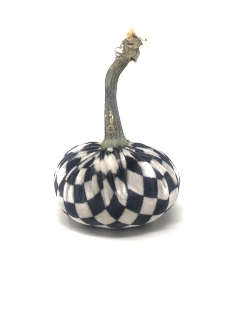 Jumbo Velvet Pumpkin - Image 13