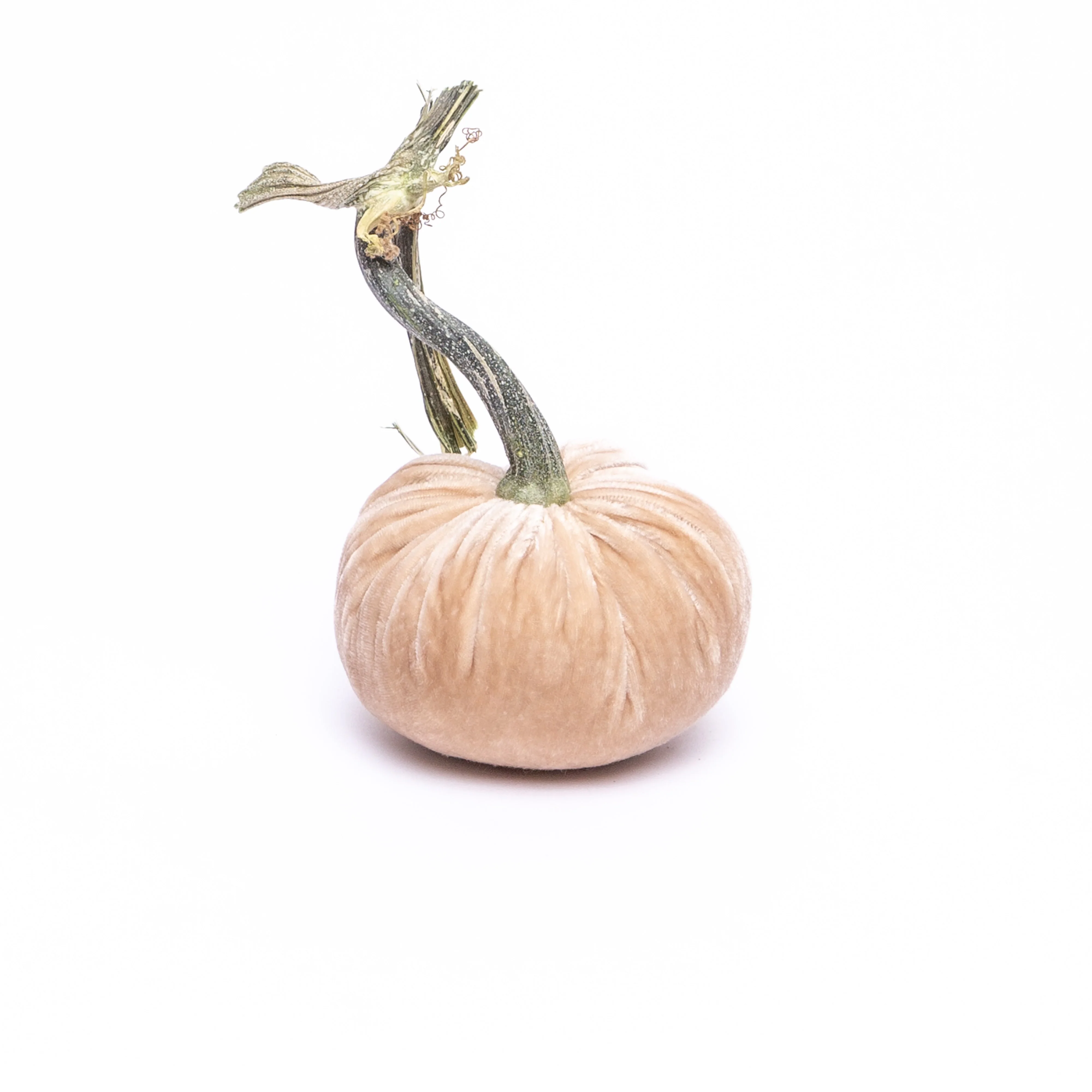 Jumbo Velvet Pumpkin - Image 4