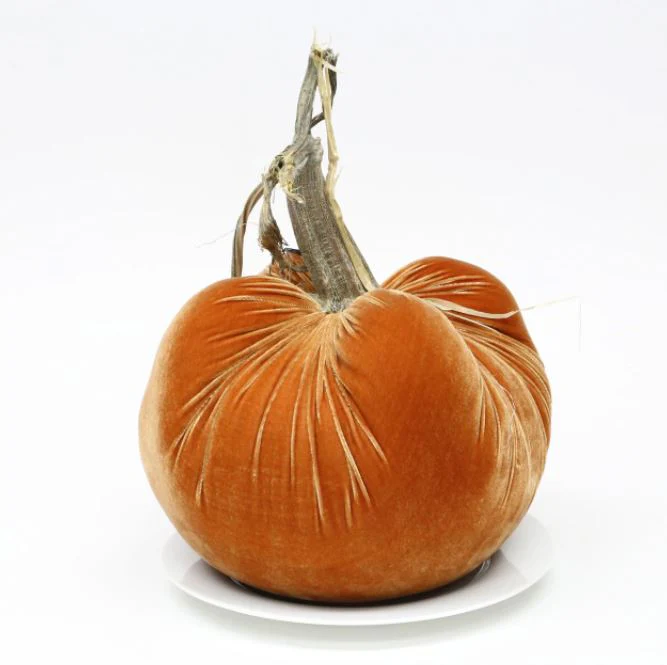 Jumbo Velvet Pumpkin - Image 7