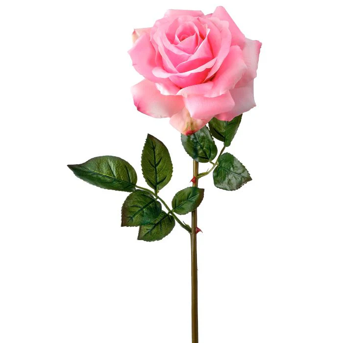Just Cut Open Garden Rose 27” - Image 3