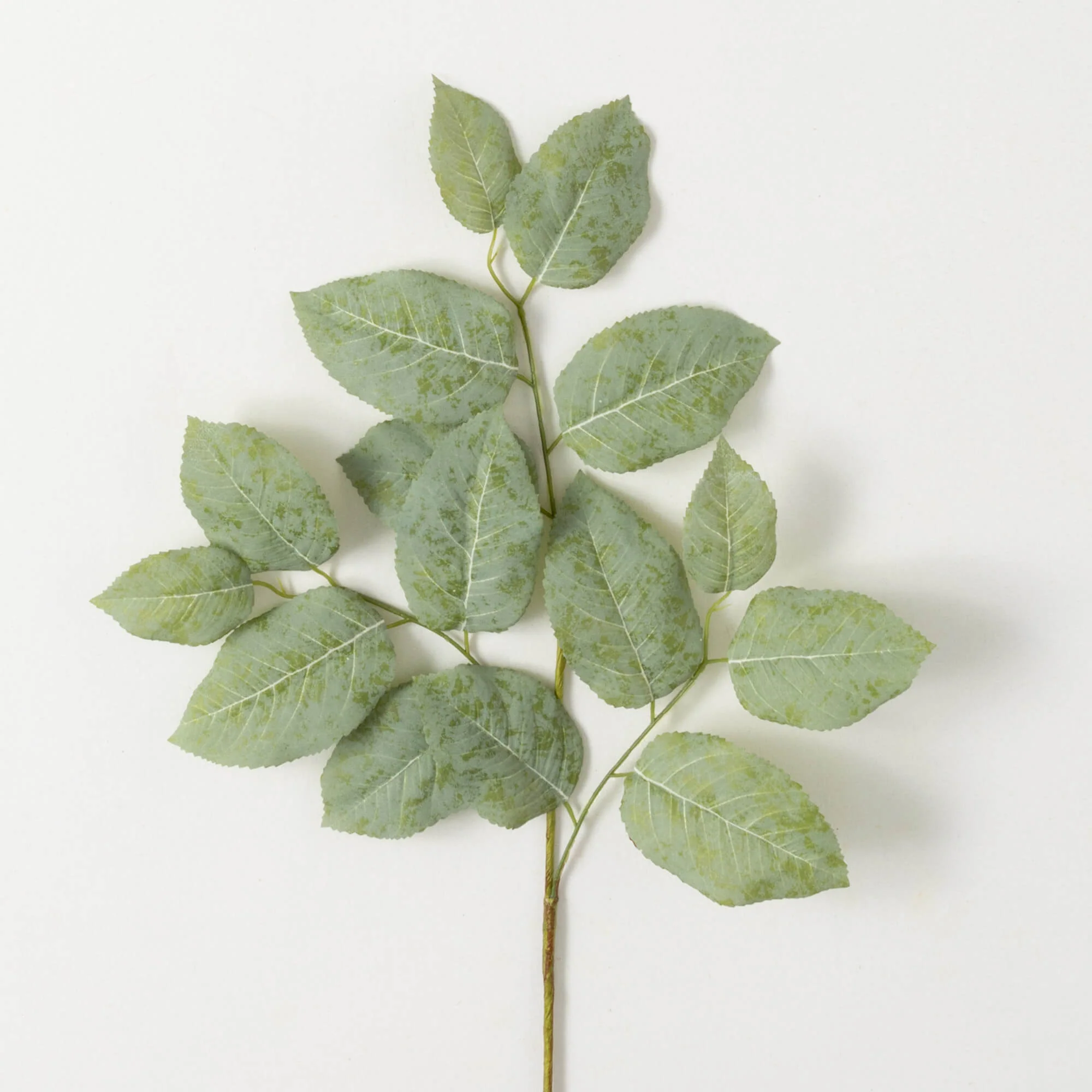 Long Lemon Leaf Spray