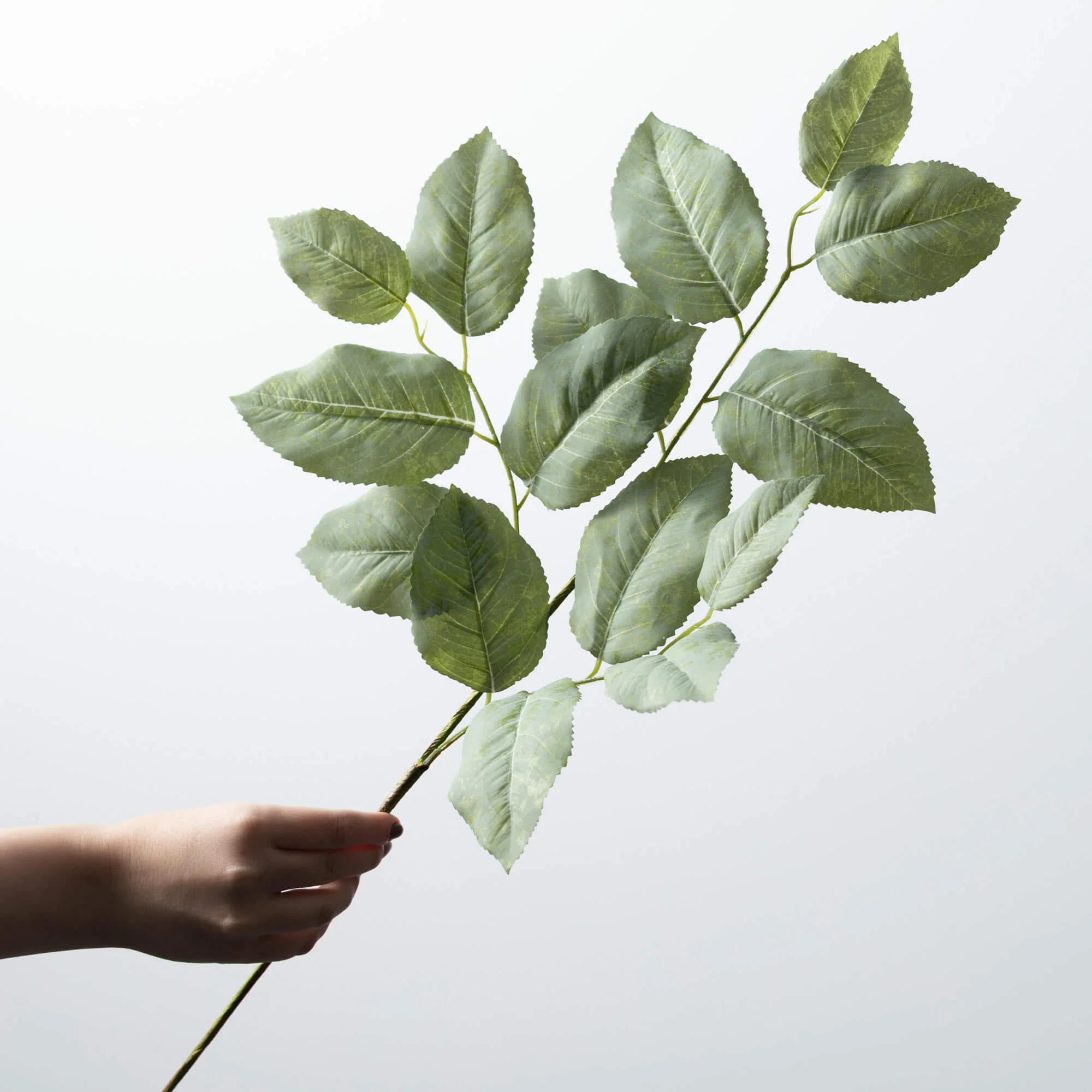 Long Lemon Leaf Spray - Image 2