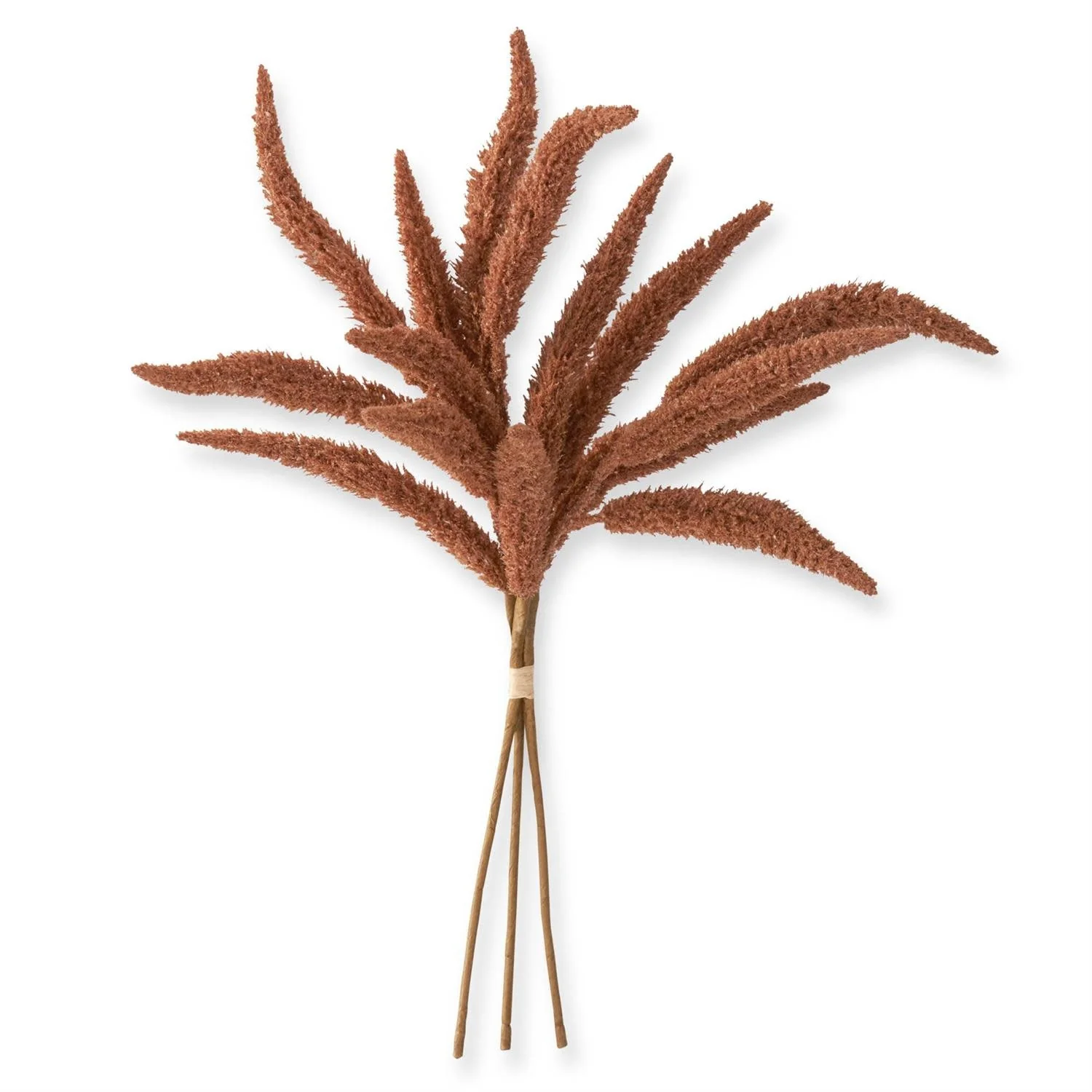 Millet Bundle 3 Stems - Image 2