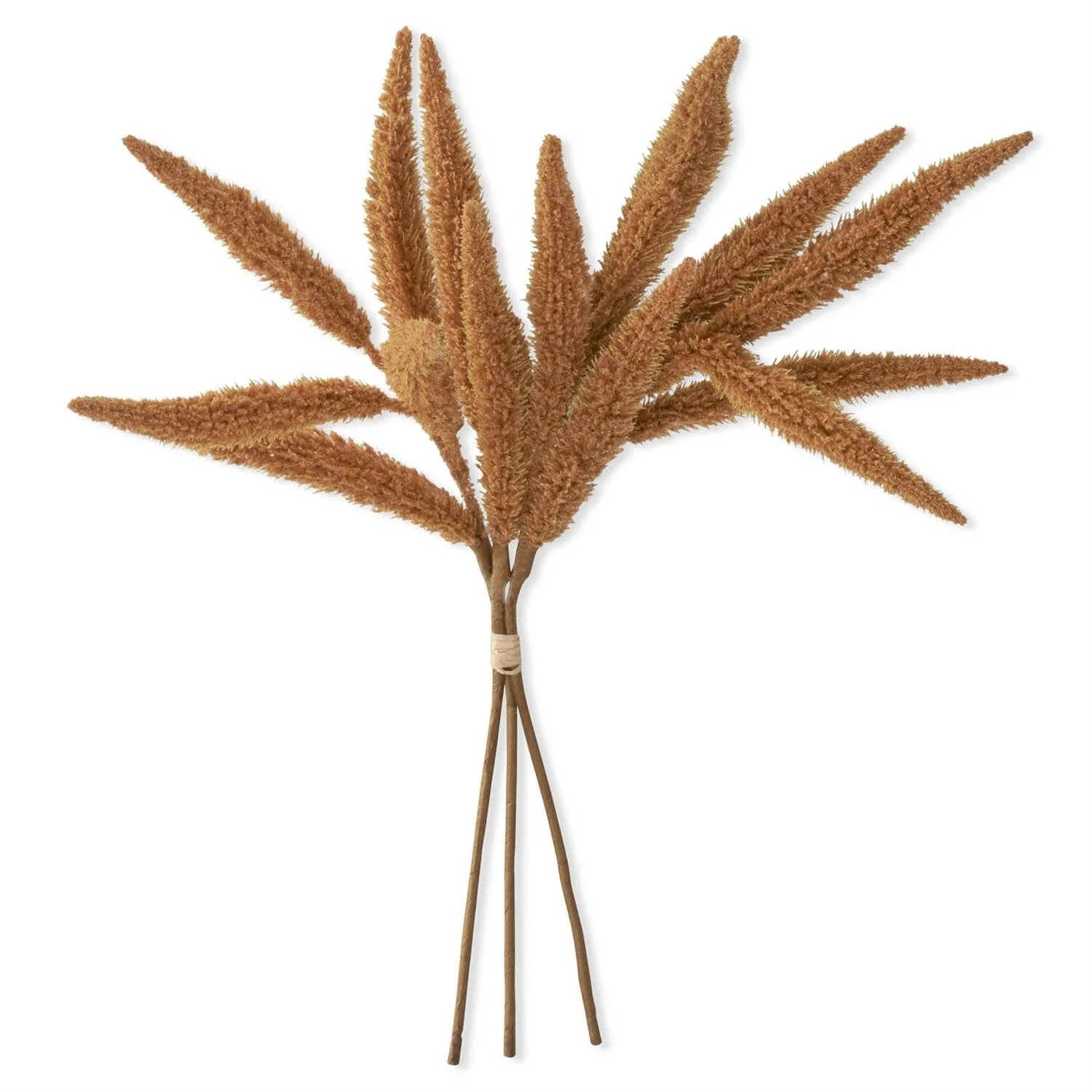 Millet Bundle 3 Stems - Image 3