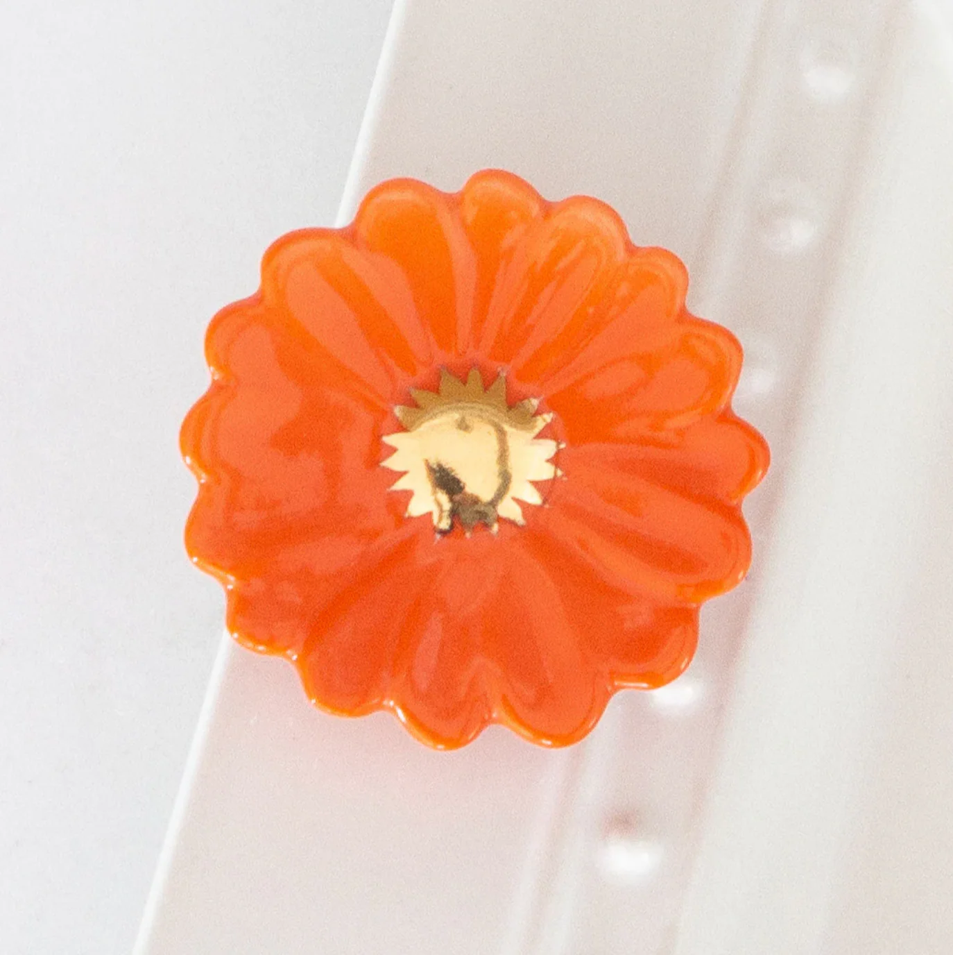 Orange Gerber Daisy
