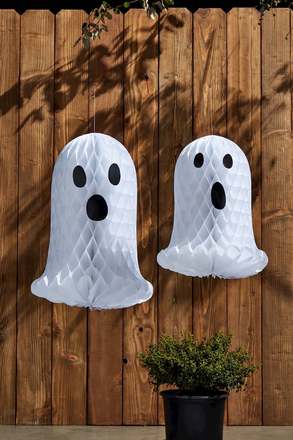 Paper Ghost Sitters - Image 2