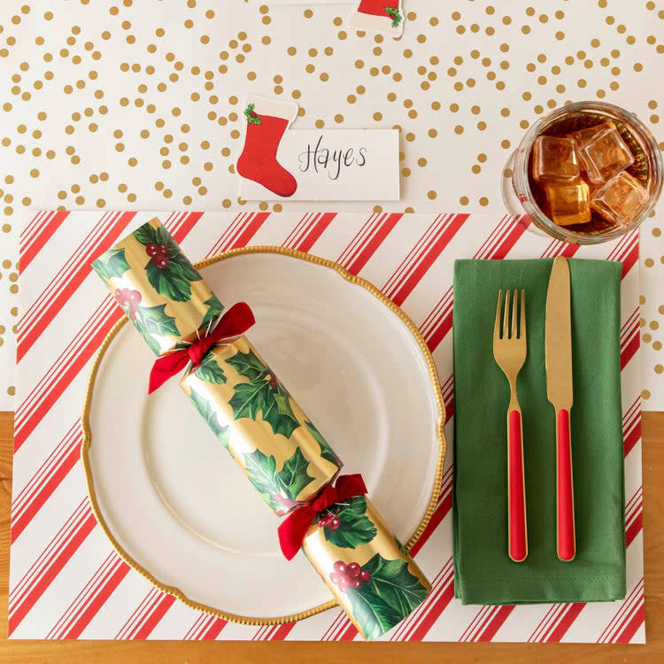 Peppermint Stripe Placemat - Image 2