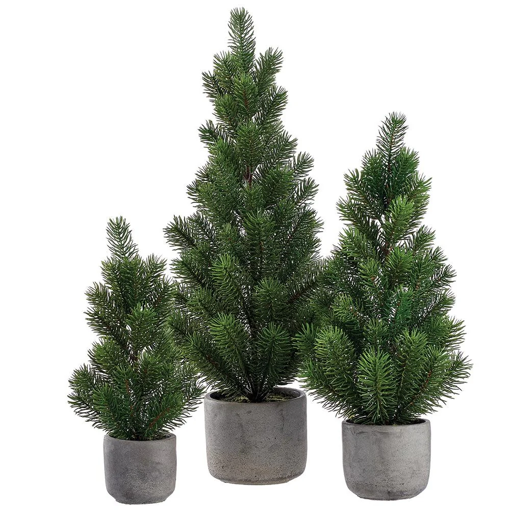 Pine Tree in Cement Pot Green