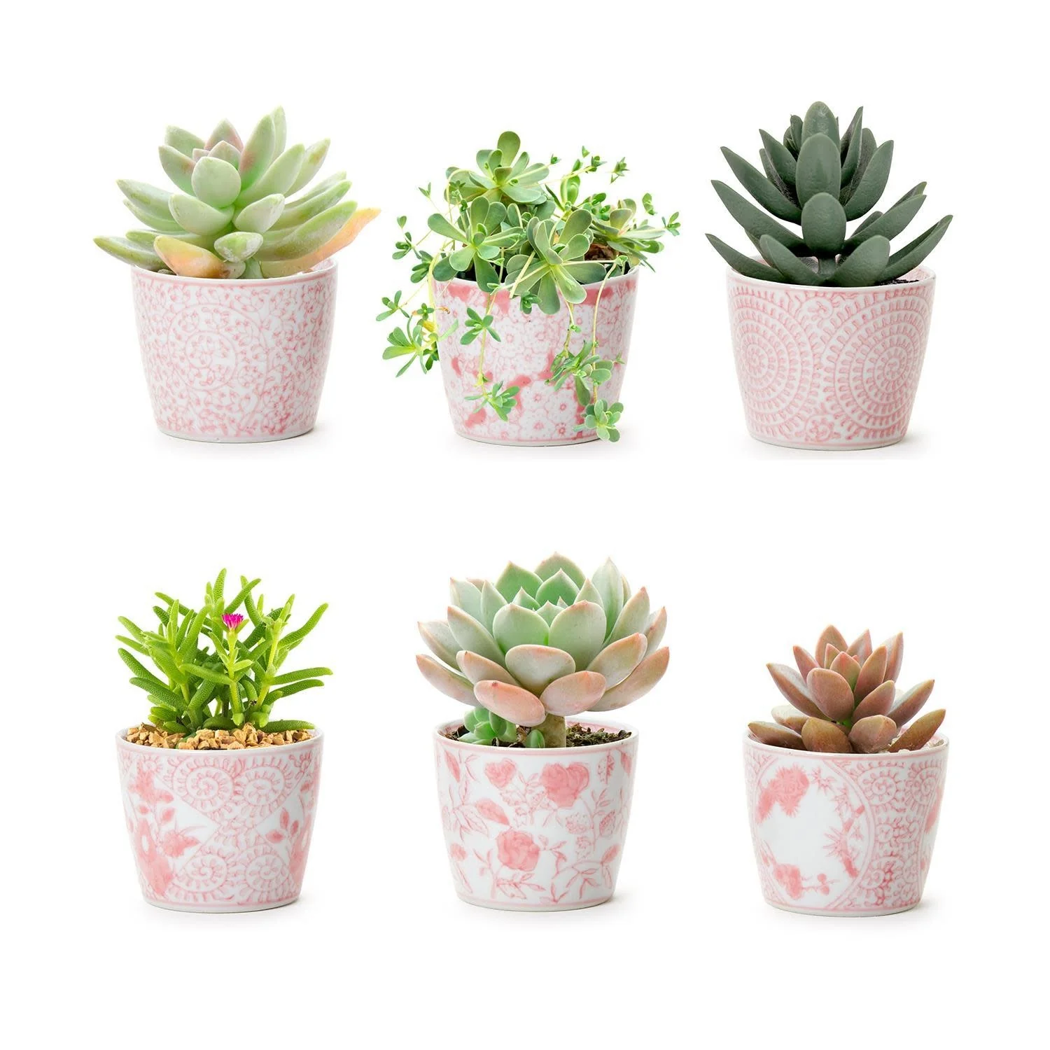 Pink Chinoiserie Cachepot - Image 2