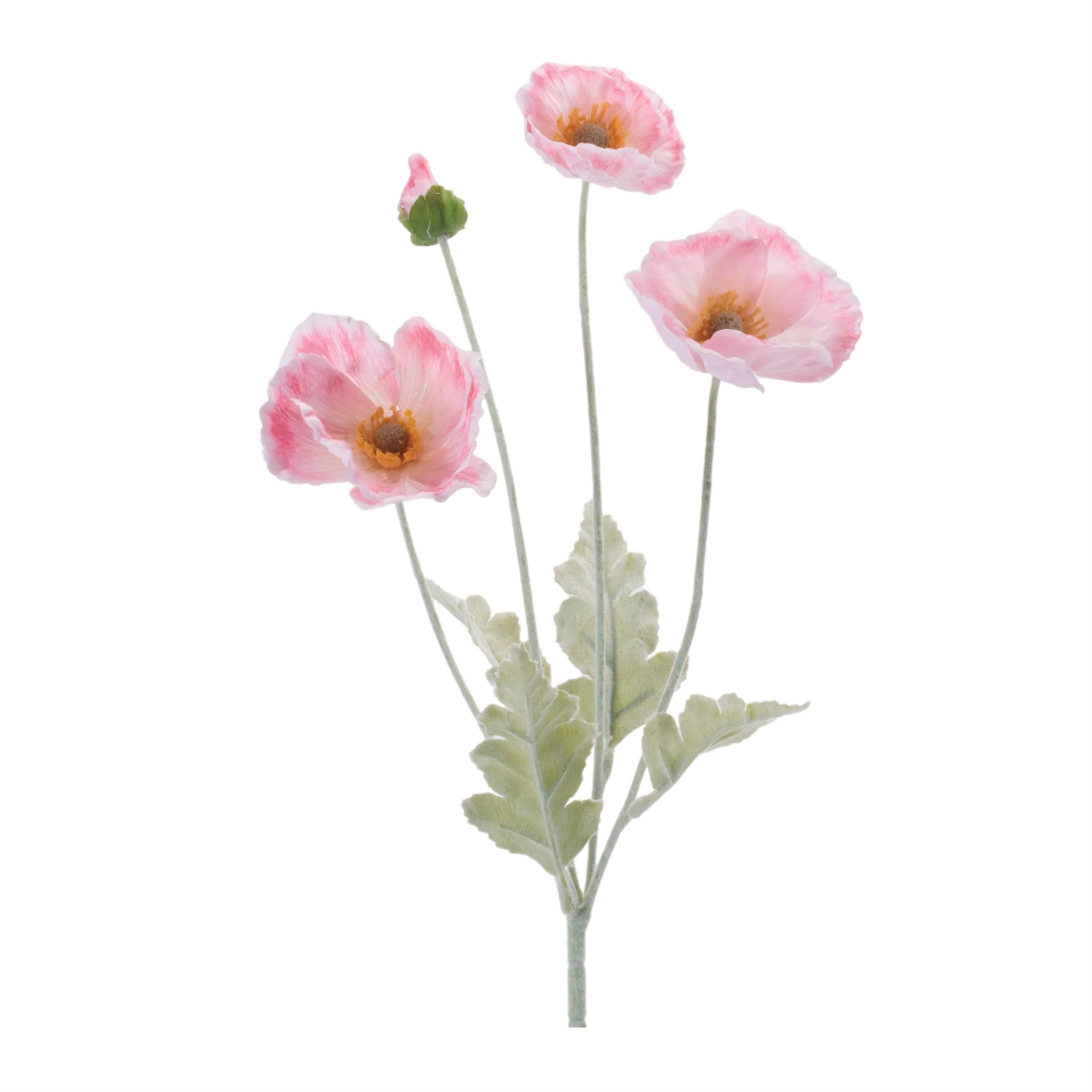 Poppy Spray