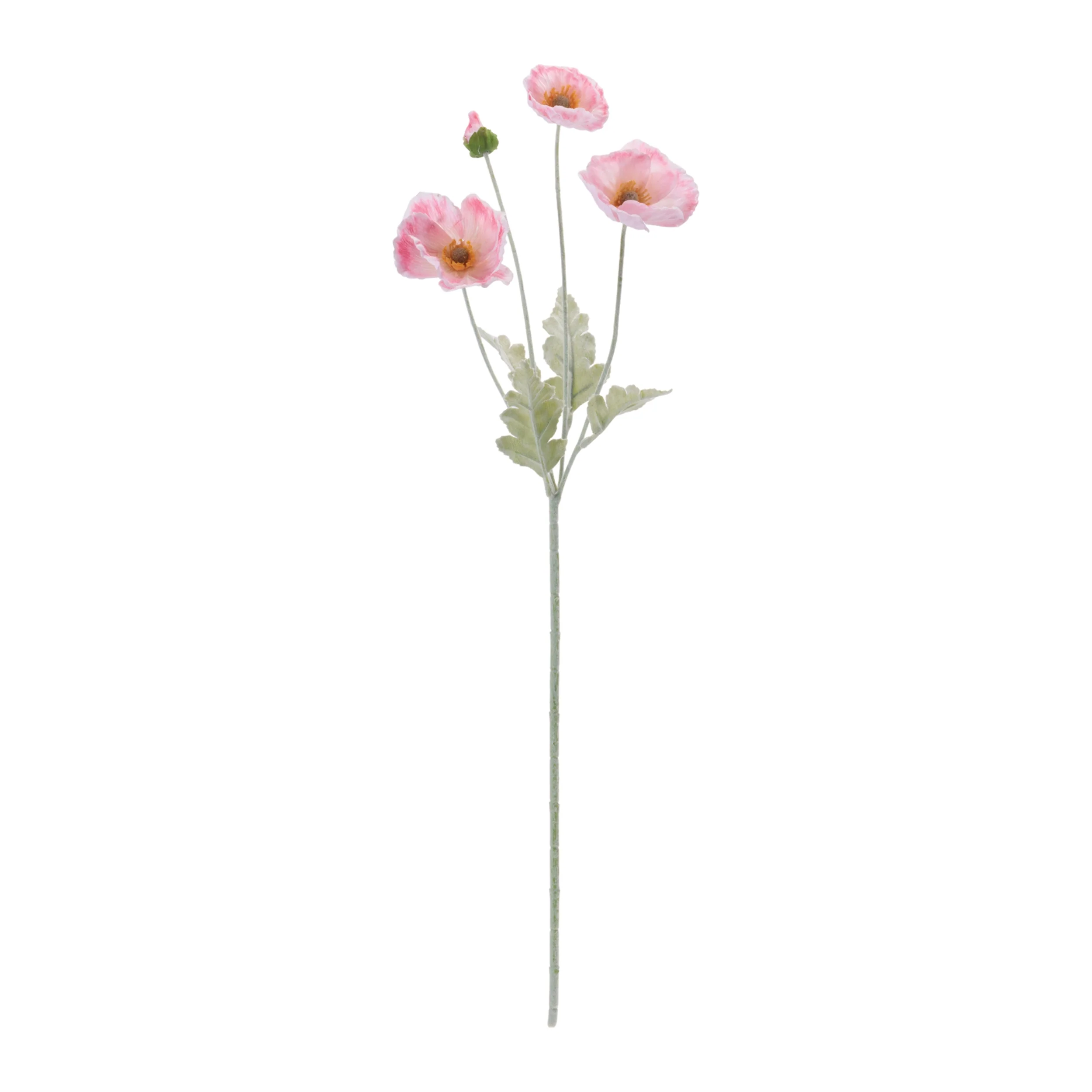 Poppy Spray - Image 2