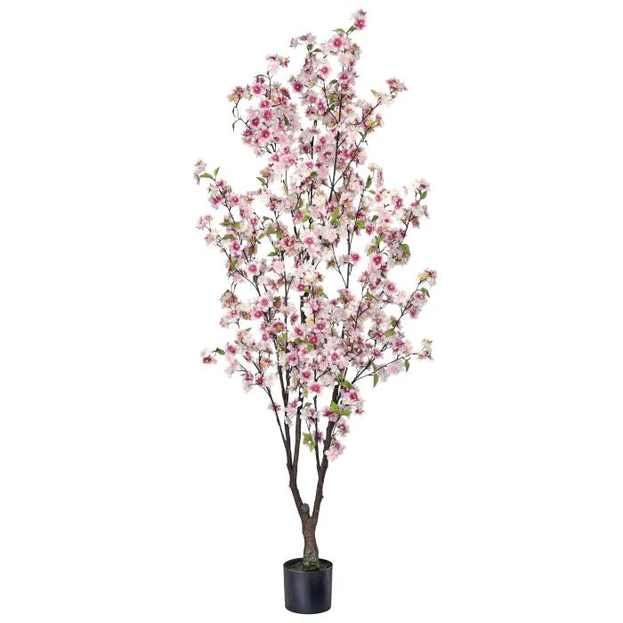 Potted Cherry Blossom Tree - Image 3