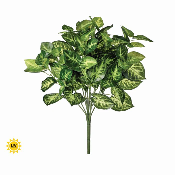 Pu Uv Nephthytis Bush 17"