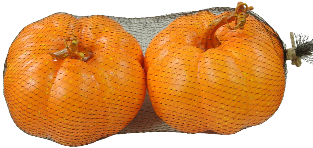 Pumpkin - Image 3