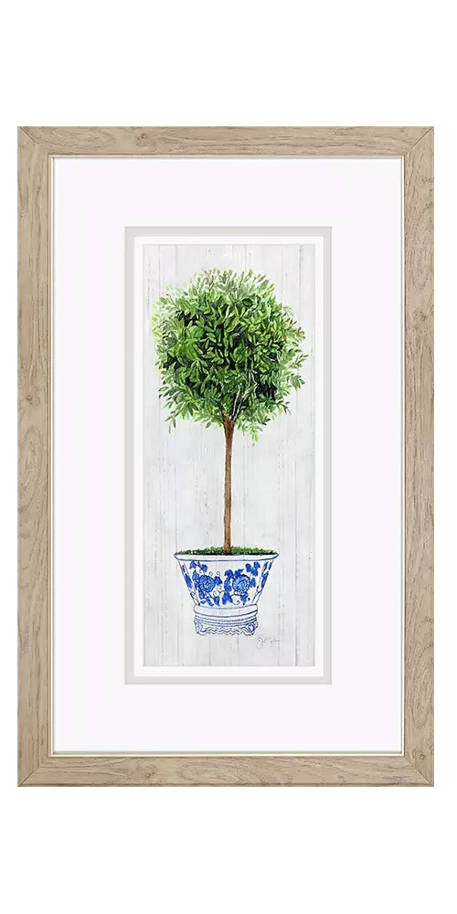 Rosemary Thyme - Image 2
