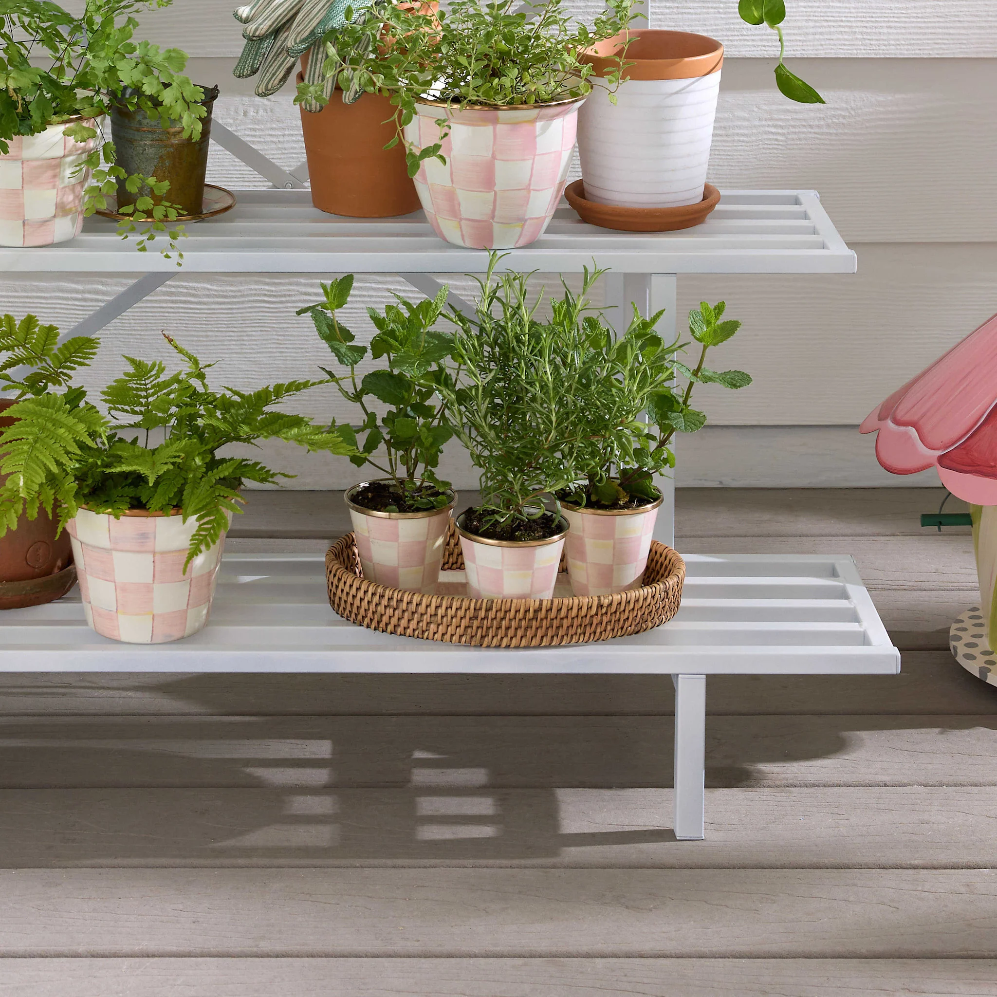 Rosy Check Herb Pot  - Sold Individually - Image 2