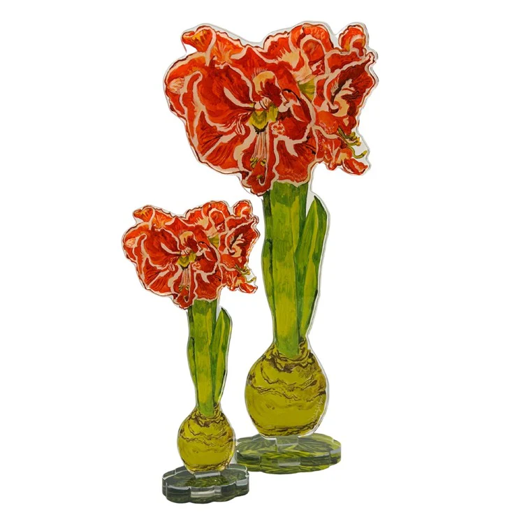 Ruffle Amaryllis Single Flower - Sold Individually