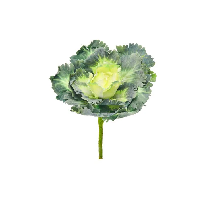 Ruffle Kale Pick 7”D - Image 2