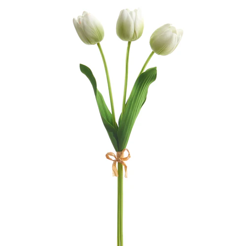 *SB* 20" Real Touch Light Green Tulip Bundle
