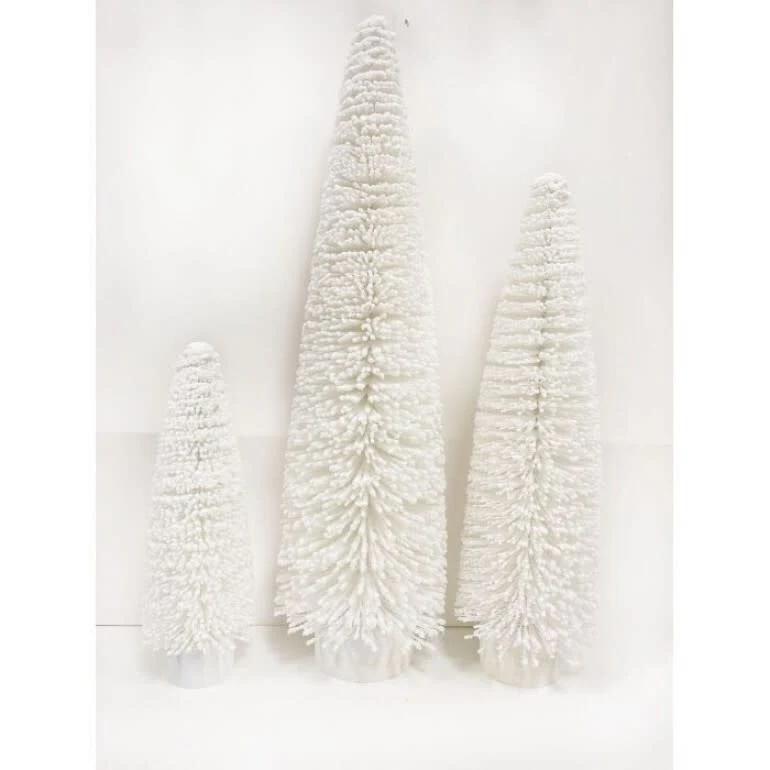 Snow Tip Bristle Tree