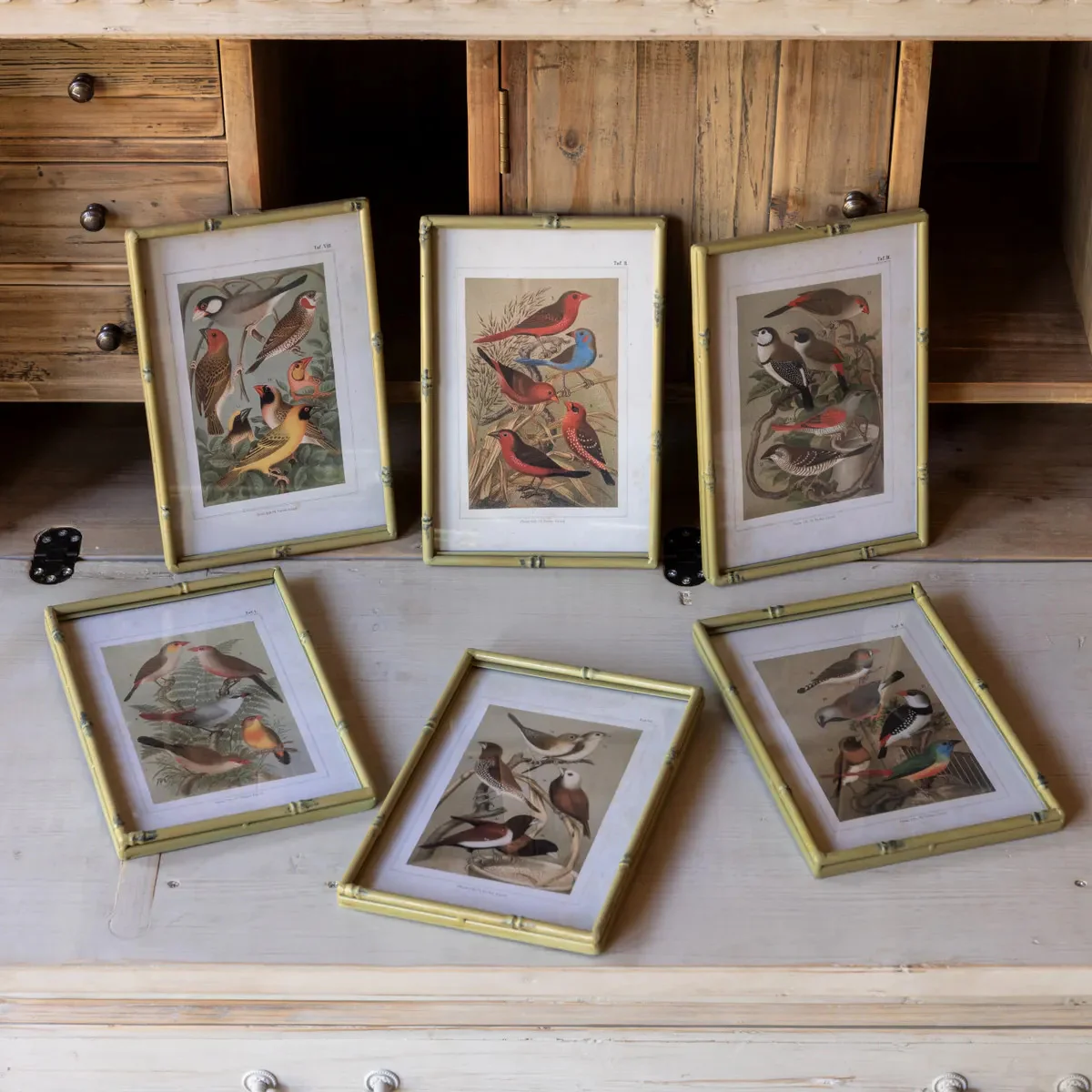 Song Bird Print in Faux Bamboo Frame - Sold Individually - Image 2