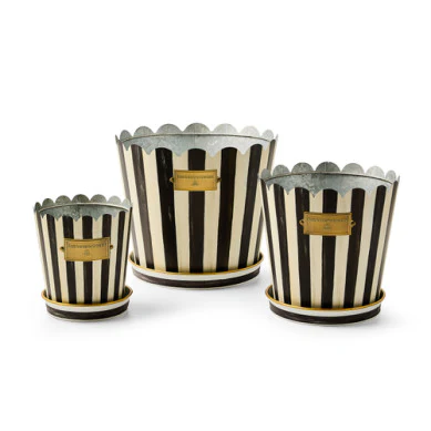 Stripe Pot & Saucer - Sold Individually - Image 3