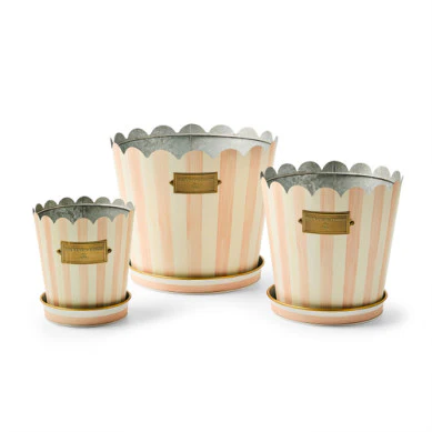 Stripe Pot & Saucer - Sold Individually - Image 9