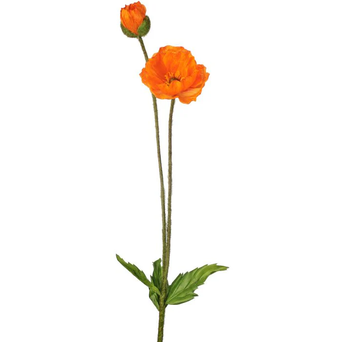 Summer Poppy + Bud 29” - Image 2