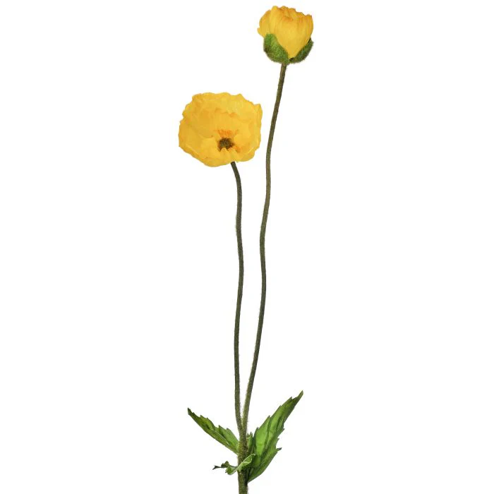 Summer Poppy + Bud 29” - Image 3