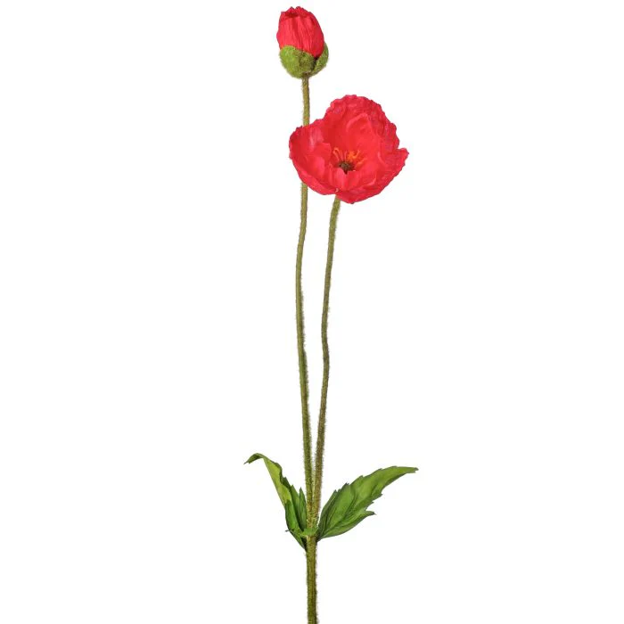 Summer Poppy + Bud 29” - Image 4