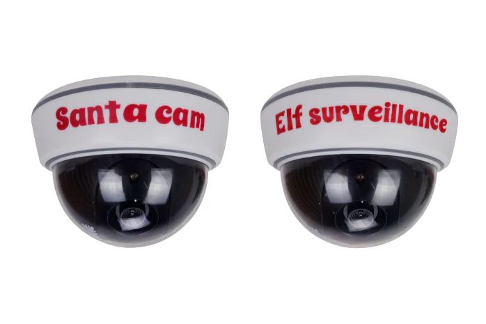Surveillance Cam - Image 2