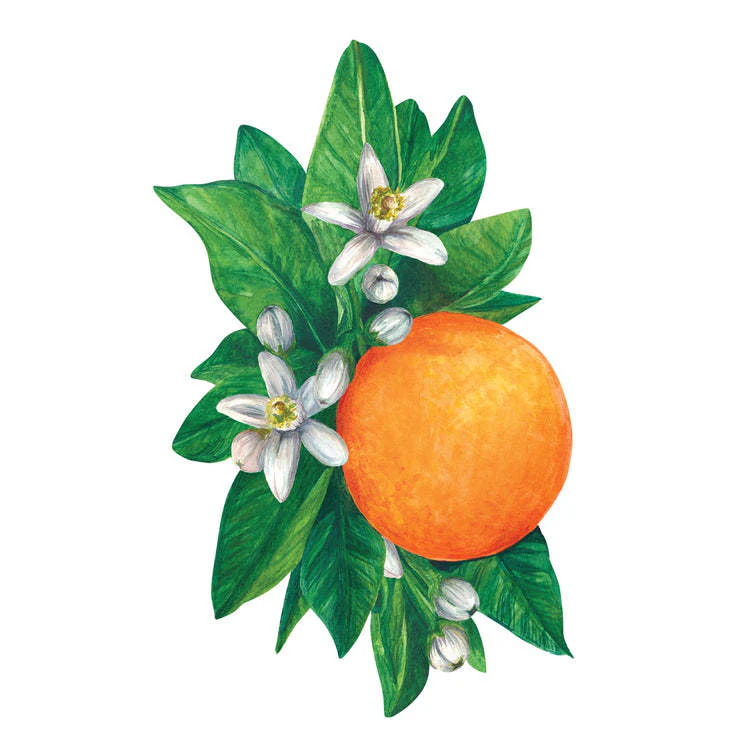 Table Accent - Image 10
