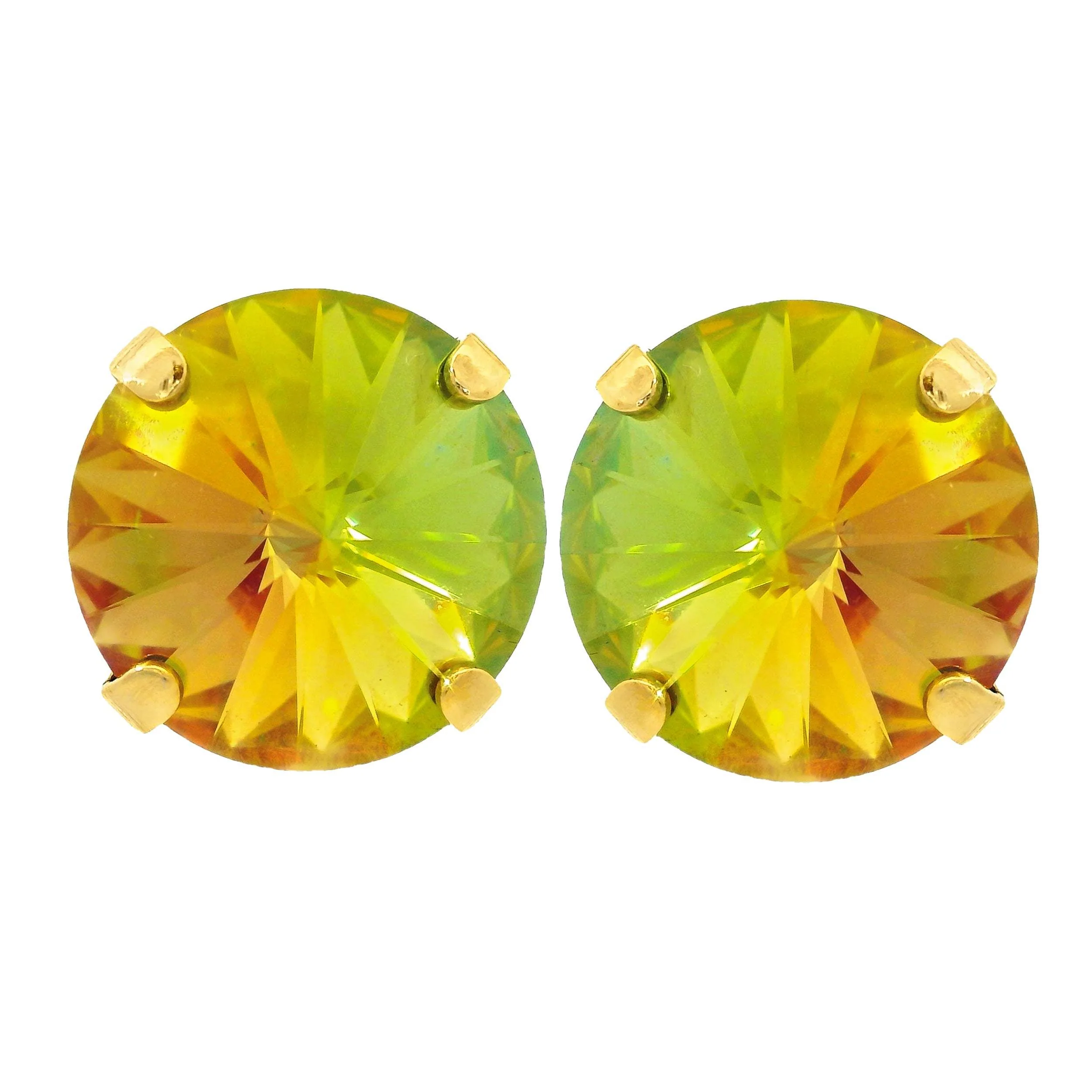 The Basic Studs - Image 10