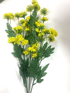 Thistle Ball Bush X8 Yellow 1/10DZ