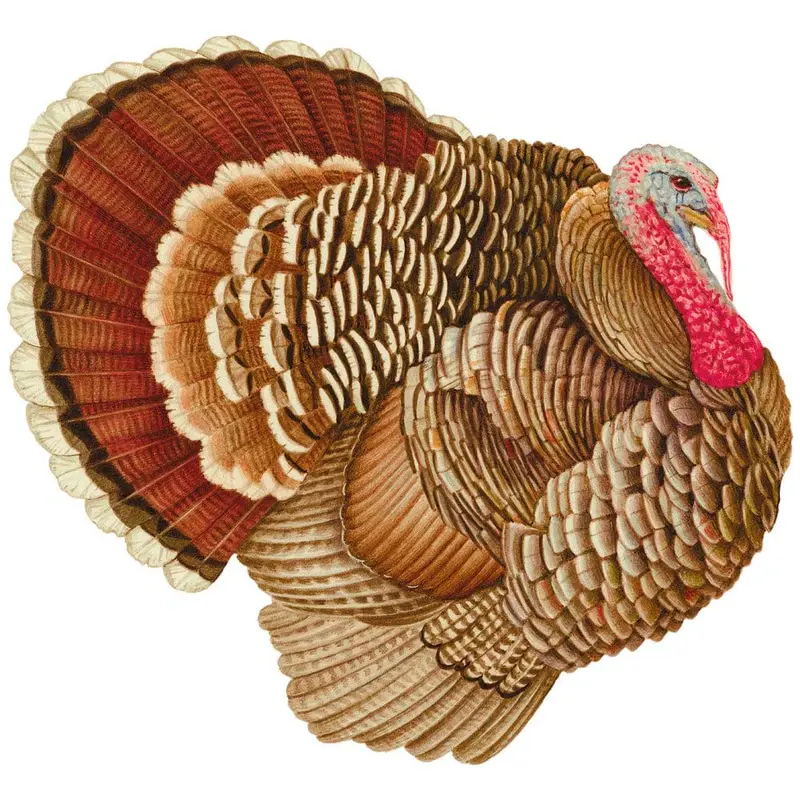 Turkey Paper Placemats
