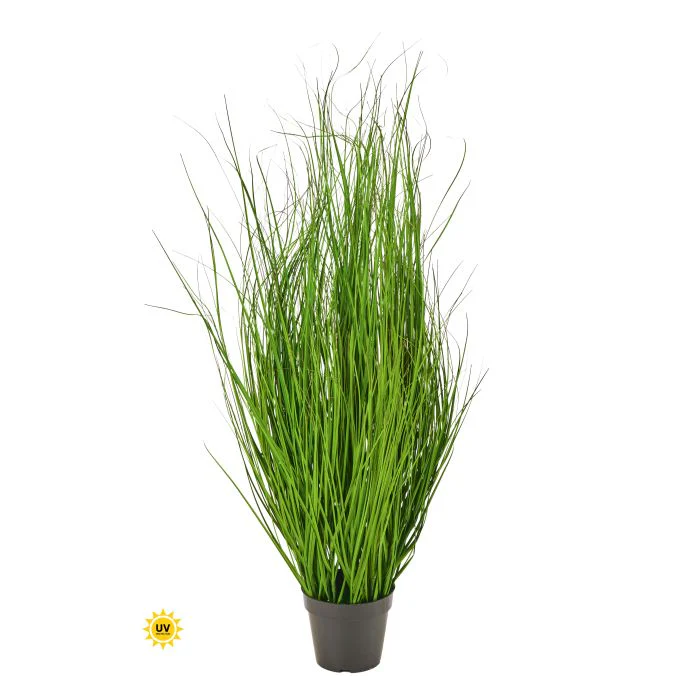 Uv Ptd Fountain Grass