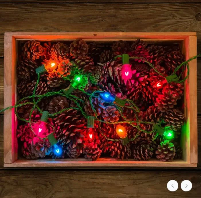 Vintage Style LED Christmas Lights - C7 25-Light Set - Image 2