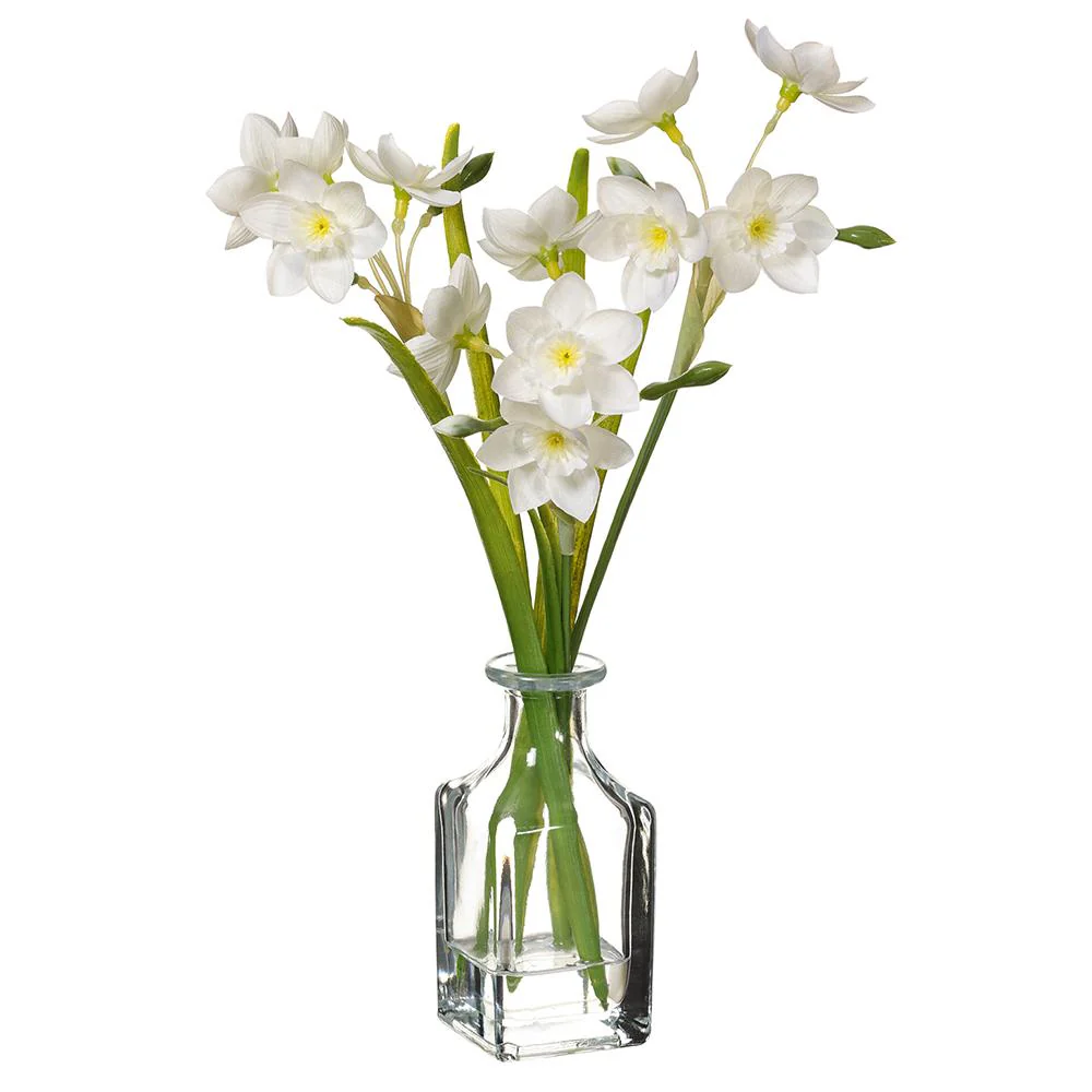 White Daffodil in Clear Vase